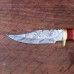 Fixed Blade  Damascus Knife