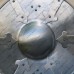 Fleur Shield Buckler